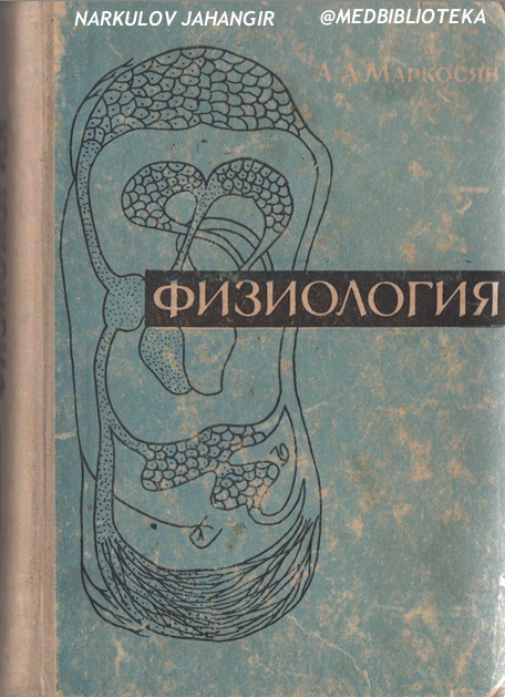 Физиология