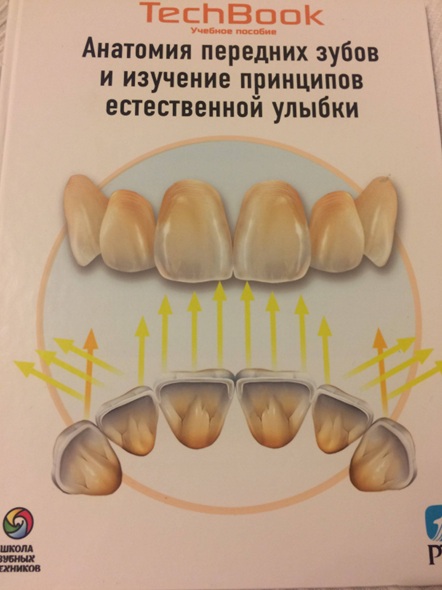 Анатомия передних зубов принципов естественной улыбки