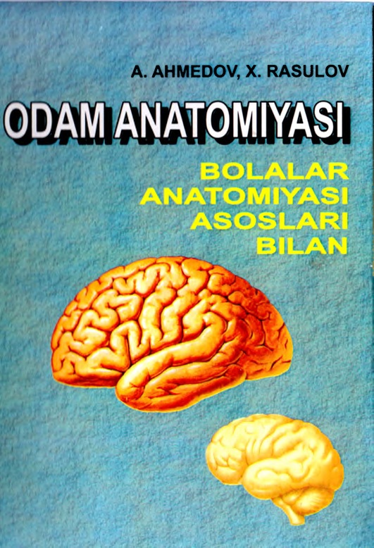 Odam anatomiyasi