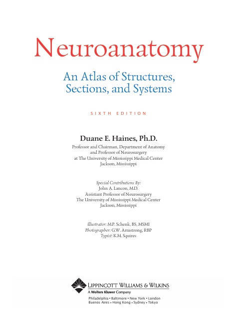 Neuroanatomy