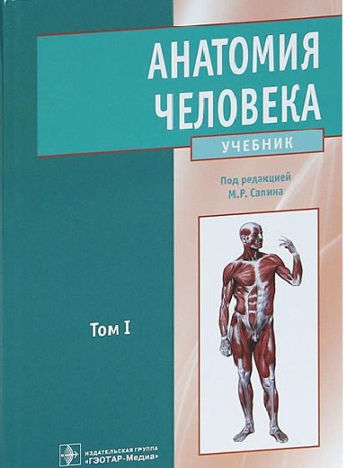 Анатомия человека Том I