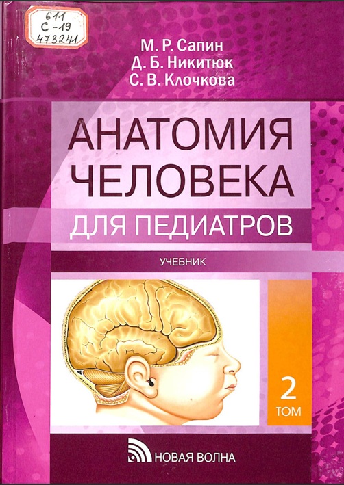 Анатомия человека Том 2