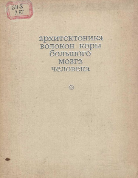 Архитектоника волокон коры большого мозга человека.