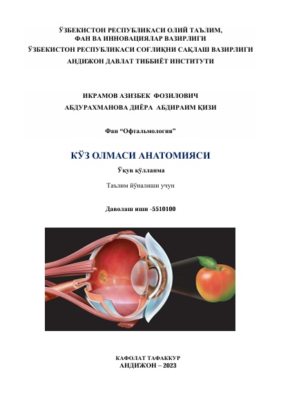 Кўз олмаси антомияси