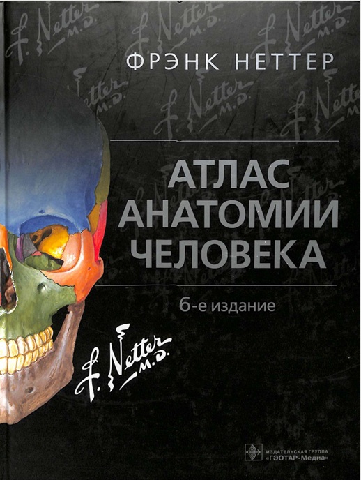 Атлас анатомии человека.