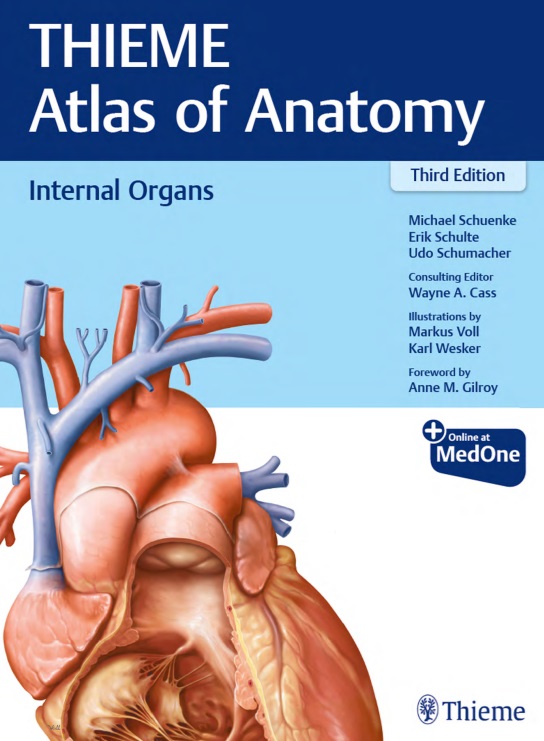 THIEME Atlas of anatomy: internal organs
