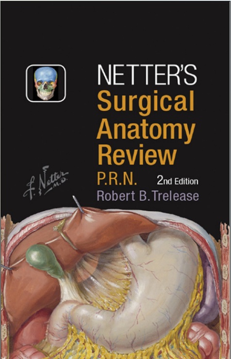 NettSurgical anatomy review P.R.N.