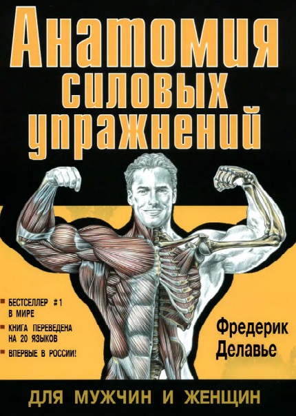 Анатомия силовых упражнений для мужчин и женщин