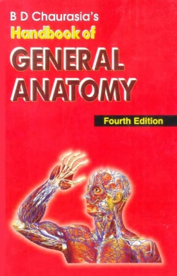 General anatomy