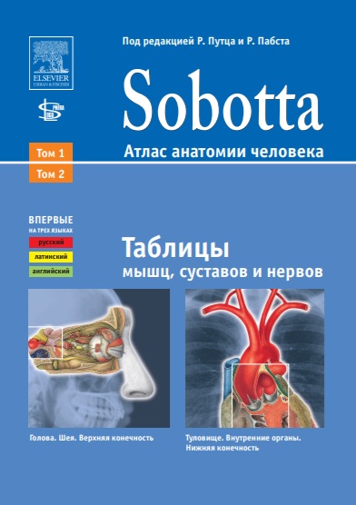 Sobotta Атлас анатомии человека