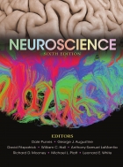 Neuroscience. 6th Edition.