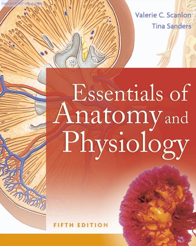 Essentials of anatomy and physiology