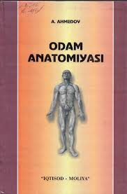 Odam anatomiyasi