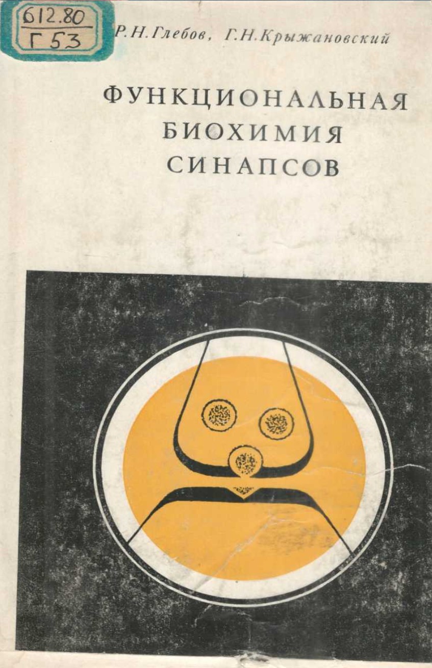 Функциональная биохимия синапсов