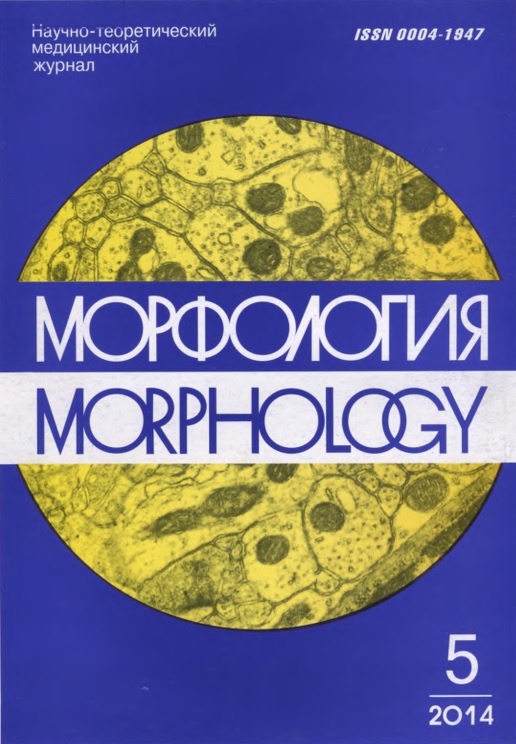 Морфология №-5