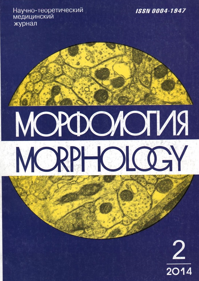 Морфология №-2