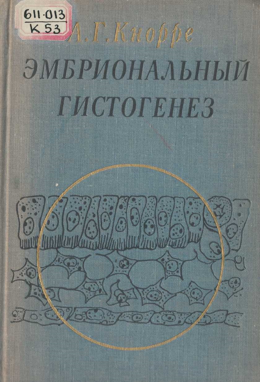 Эмбриональный гистогенез