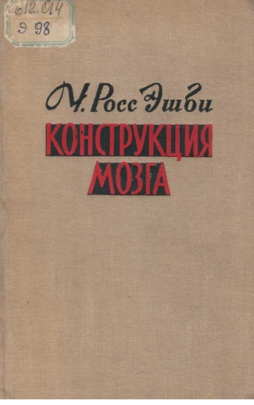 Конструкция мозга